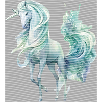 Rainbow Horse-RH 281